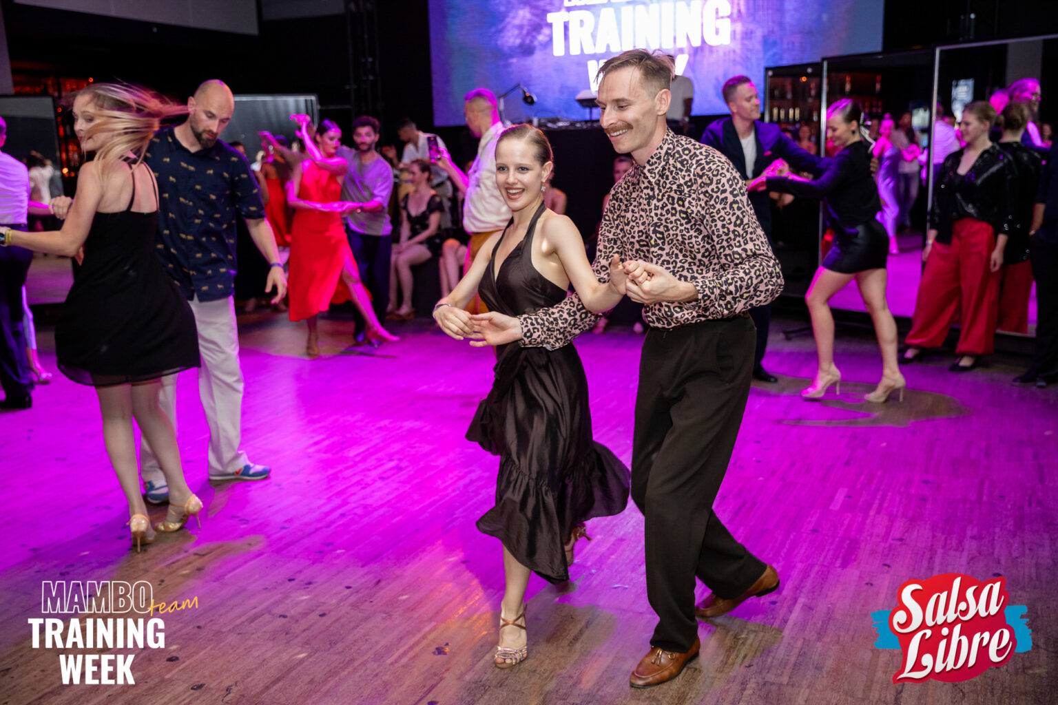 R6M22257_happymoon.pl-1_min_logo2_logo2